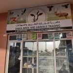 shop Dama Birds & Animal Trading photo 1