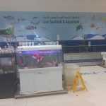 pet fish shop Live Seafood & Aquarium photo 1