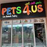 trading company Pets4us Live Animal photo 1