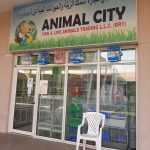 Animal City Fish & Live Animals Trading photo 1