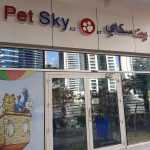 shop Pet Sky photo 1